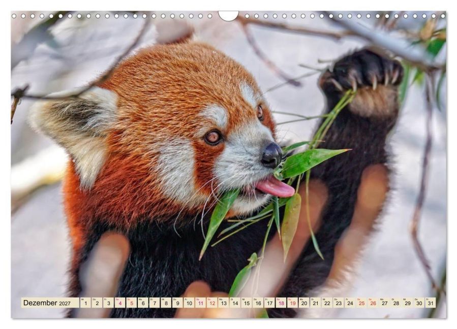 InsideView 4