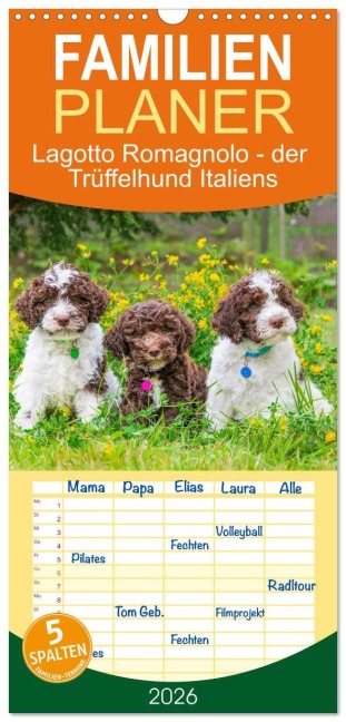 Familienplaner 2026 - Lagotto Romagnolo - der Trüffelhund Italiens mit 5 Spalten (Wandkalender, 21 x 45 cm) CALVENDO - Sigrid Starick