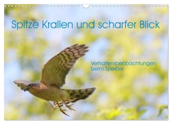 Cover-Bild zum Titel 'Spitze Krallen und scharfer Blick - Verhalten Sperber (Wandkalender 2026 DIN A3 quer), CALVENDO Monatskalender' von 'Hermann Knüwer'