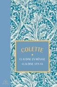 Cover-Bild zum Titel 'Les Claudine T2' von 'Colette'