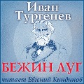 Cover-Bild zum Titel 'Bezhin lug' von 'Ivan Turgenev, Boris Sokolov'