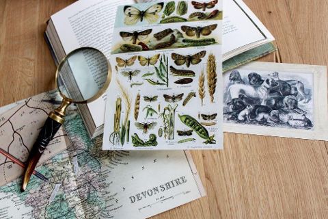 InsideView 13