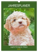Jahresplaner Lagotto Romagnolo Welpen (Wandkalender 2026 DIN A3 hoch), CALVENDO Monatskalender - Sigrid Starick