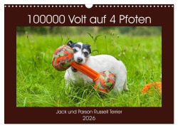 Cover-Bild zum Titel '100000 Volt auf vier Pfoten - Jack und Parson Russell Terrier (Wandkalender 2026 DIN A3 quer), CALVENDO Monatskalender' von 'Sigrid Starick'