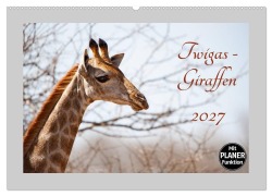 Cover-Bild zum Titel 'Twigas - Giraffen (Wandkalender 2027 DIN A2 quer), CALVENDO Monatskalender' von '(c)Kirsten und Holger Karius'