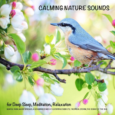 Calming Nature Sounds (without music) for Deep Sleep, Meditation, Relaxation - Yella A. Deeken