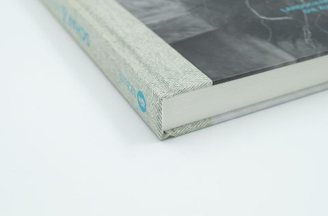 InsideView 2