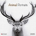 Animal Portraits 2025 - 