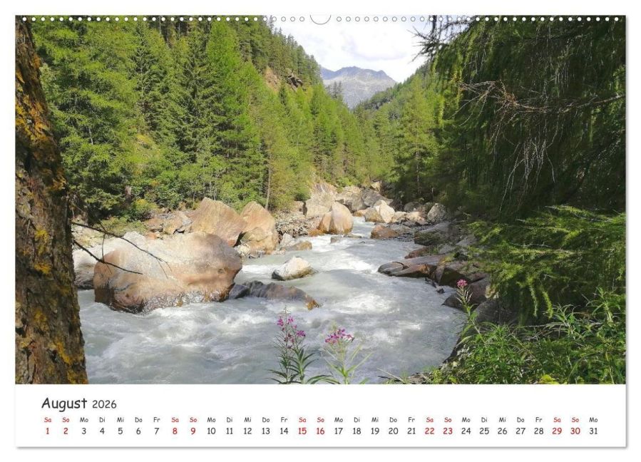 InsideView 12