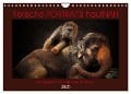 Tierische PORTRAITS hautNAH (Wandkalender 2025 DIN A4 quer), CALVENDO Monatskalender - Antje Wenner-Braun