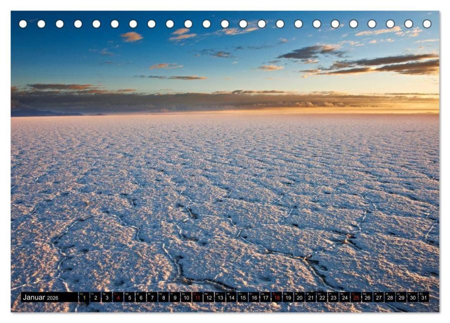 InsideView 6
