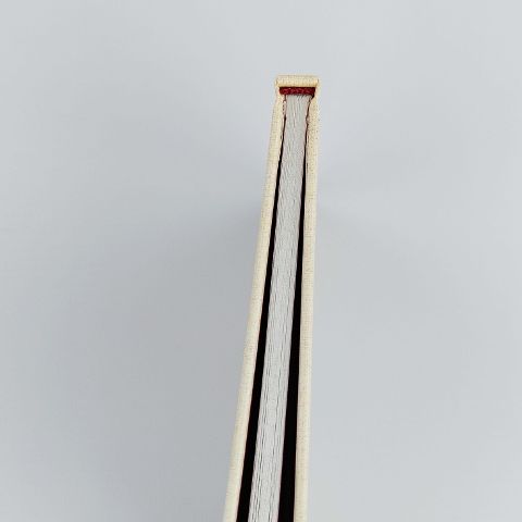 InsideView 4