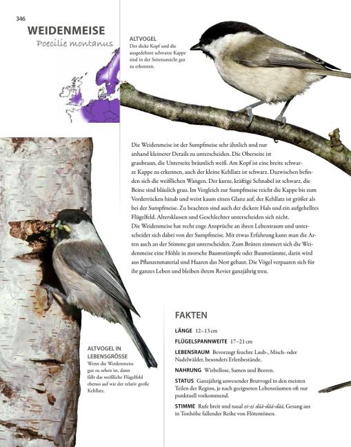 InsideView 10