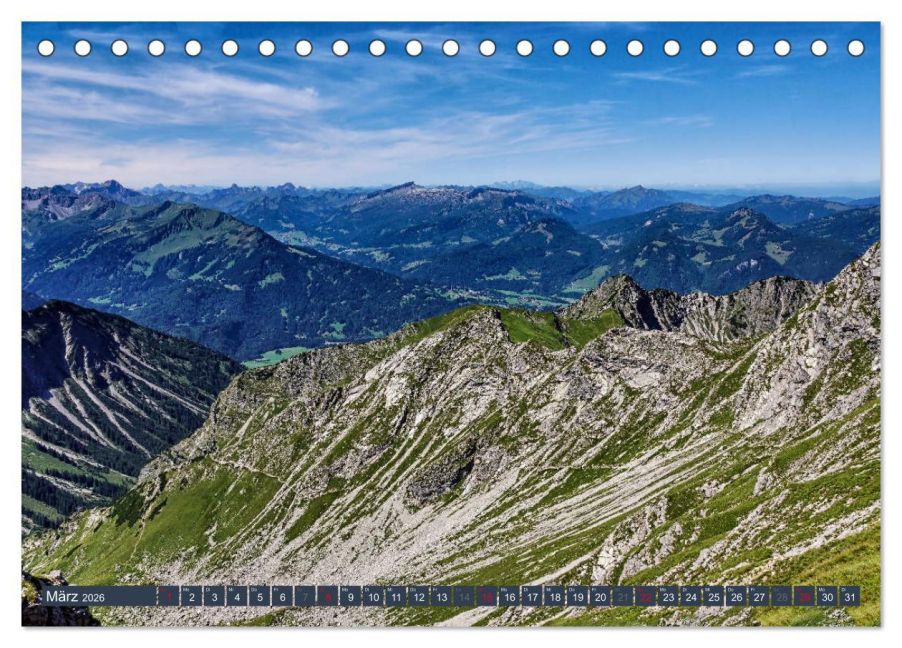InsideView 8