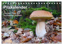 Cover-Bild zum Titel 'Pilzkalender (Tischkalender 2026 DIN A5 quer), CALVENDO Monatskalender' von 'Rudolf Bindig'