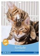 Cover-Bild zum Titel 'Verliebt in zwei Bengalen (Wandkalender 2027 DIN A4 hoch), CALVENDO Monatskalender' von 'Samashy Romy Schötz'