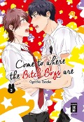 Cover-Bild zum Titel 'Come to where the Bitch Boys are 03' von 'Ogeretsu Tanaka'