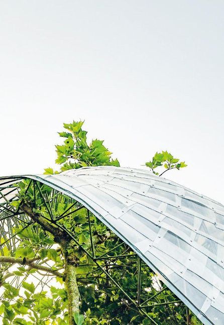 InsideView 6