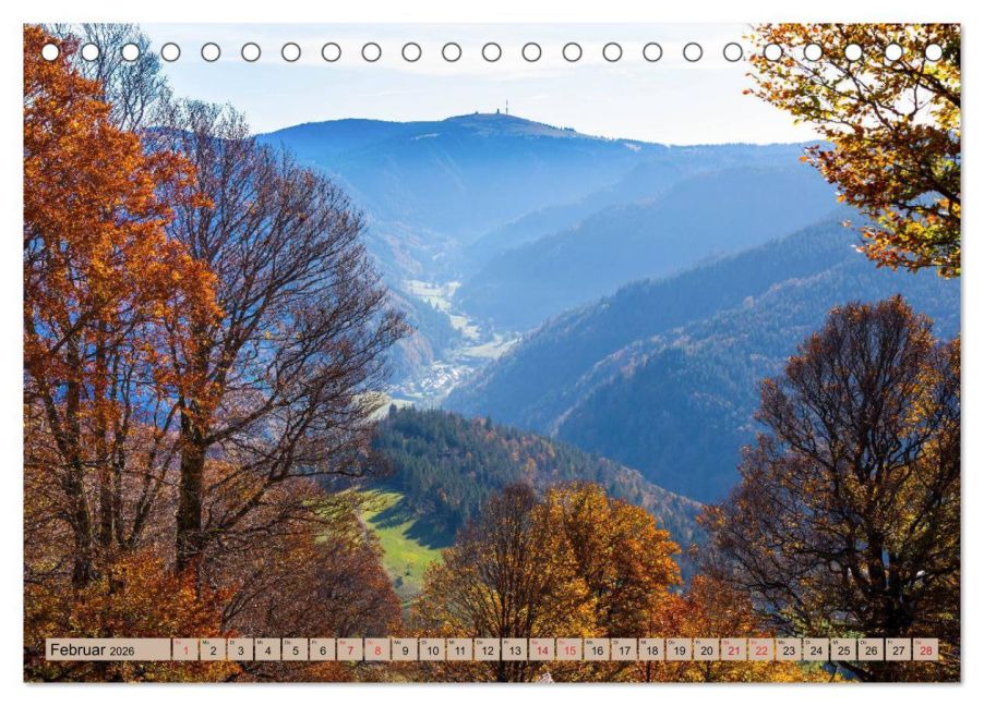 InsideView 7