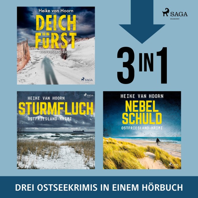 Deichfürst, Sturmfluch, Nebelschuld - Heike van Hoorn