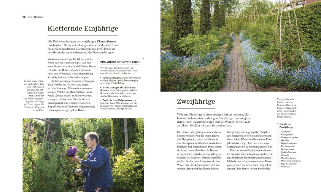InsideView 6