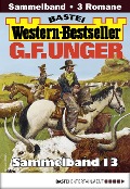 Cover-Bild zum Titel 'G. F. Unger Western-Bestseller Sammelband 13' von 'G. F. Unger'