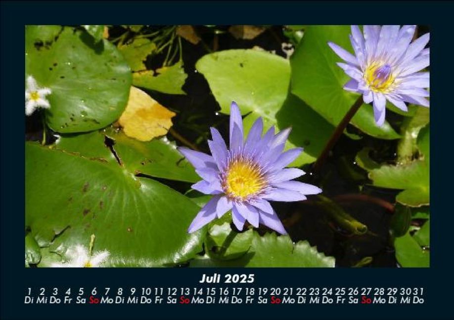 InsideView 11