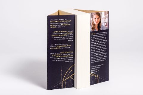 InsideView 6