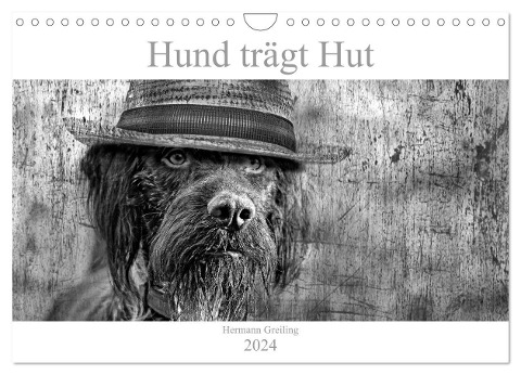 Hund trägt Hut (Wandkalender 2024 DIN A4 quer), CALVENDO Monatskalender - Hermann Greiling
