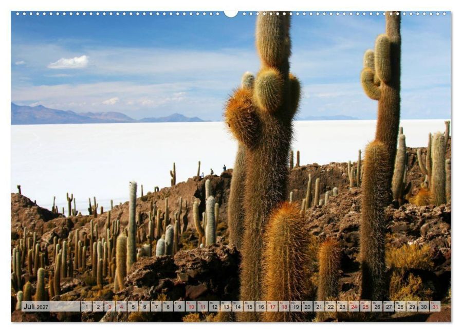 InsideView 11