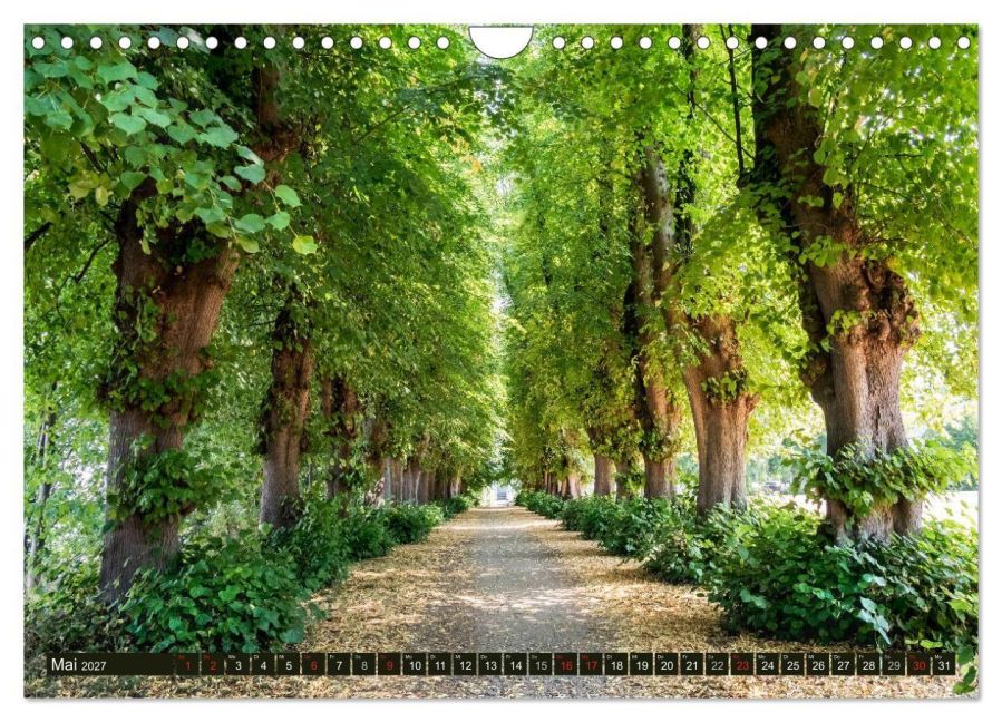 InsideView 10