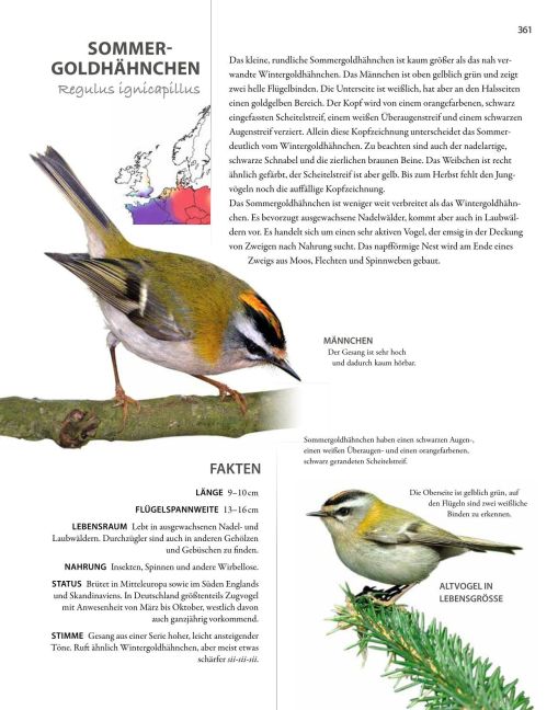 InsideView 11