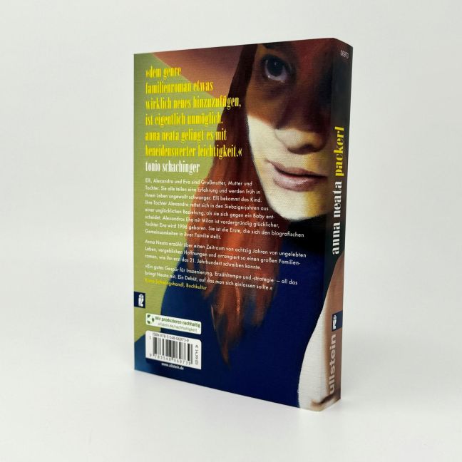 InsideView 2