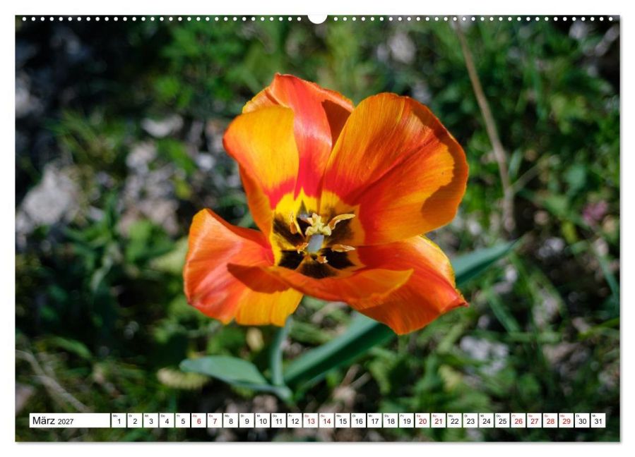 InsideView 8