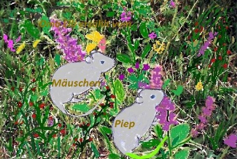 Mäuschen Piep - Elli Manteuffel
