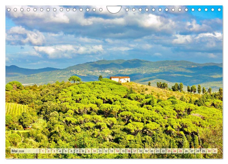 InsideView 10