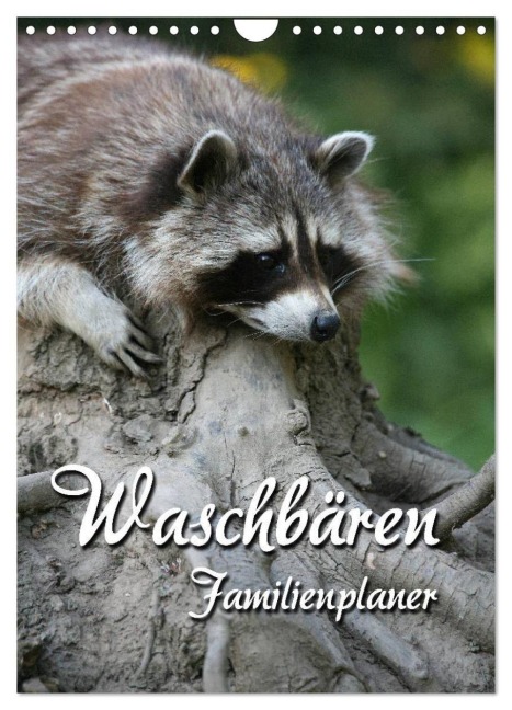 Waschbären Familienplaner (Wandkalender 2027 DIN A4 hoch), CALVENDO Monatskalender - Martina Berg