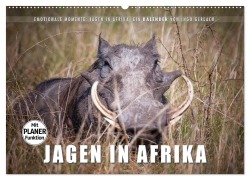 Emotionale Momente: Jagen in Afrika. (Wandkalender 2025 DIN A2 quer), CALVENDO Monatskalender - Ingo Gerlach