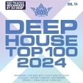 Deephouse Top 100 2024 (Vol. 14) - Various