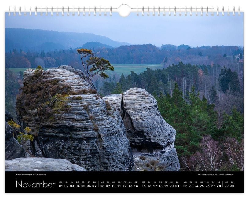 InsideView 11