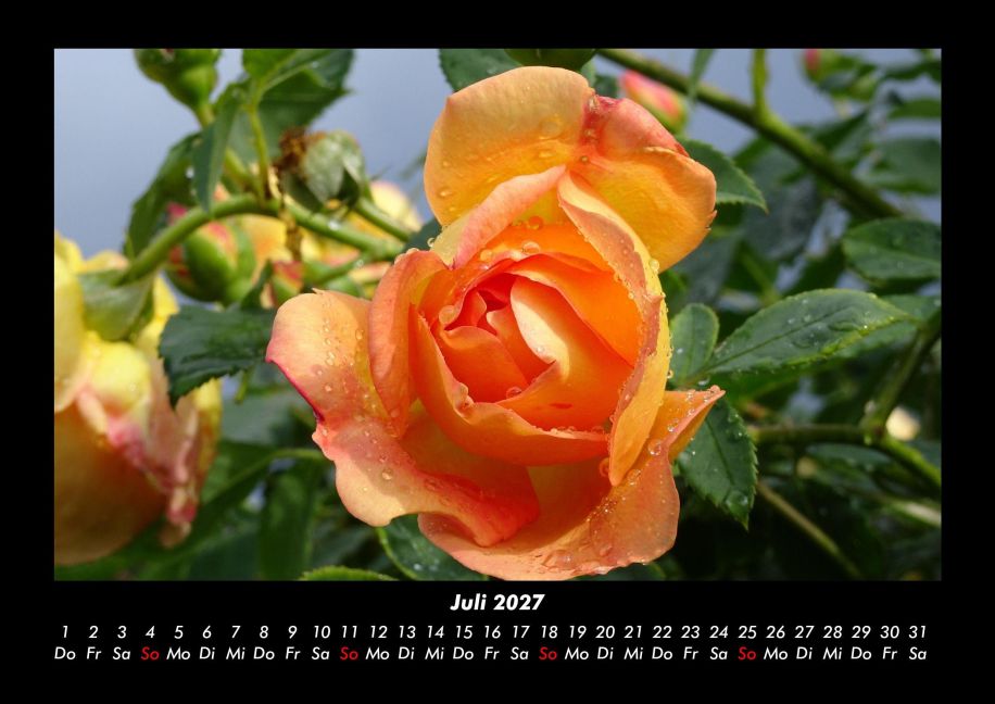 InsideView 11