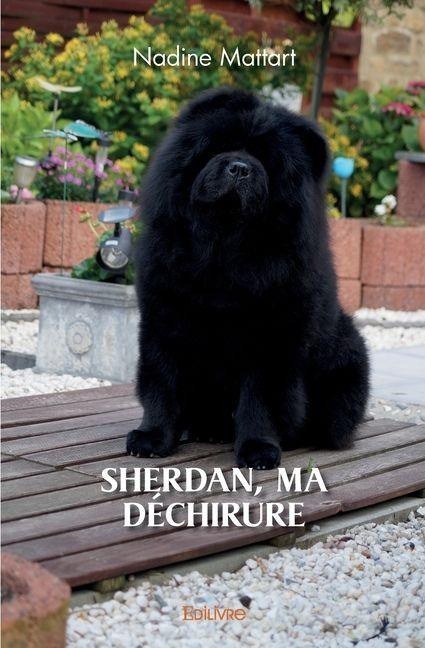 Sherdan, ma déchirure - Nadine Mattart