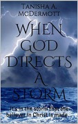 Cover-Bild zum Titel 'When God Directs a Storm' von 'Tanisha McDermott'