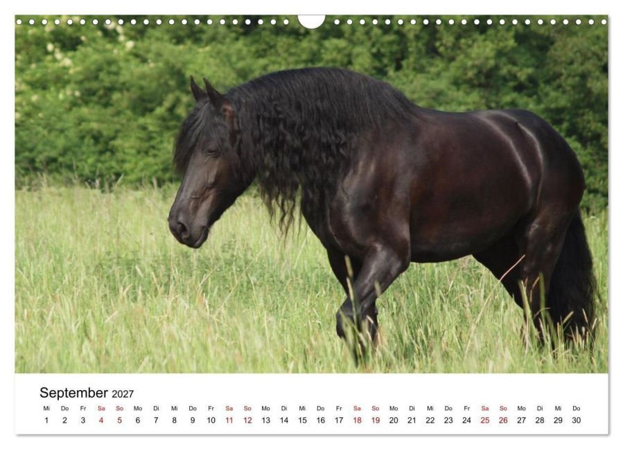 InsideView 14