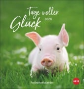 Tage voller Glück Postkartenkalender 2026 - 