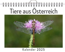 Cover-Bild zum Titel 'Tiere aus Österreich' von 'Sarah Wolf'