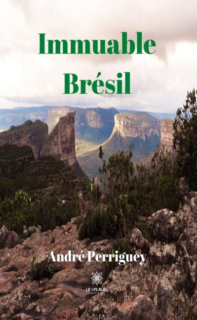 Immuable Brésil - André Perriguey
