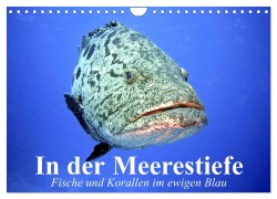 Cover-Bild zum Titel 'In der Meerestiefe. Fische und Korallen im ewigen Blau (Wandkalender 2026 DIN A4 quer), CALVENDO Monatskalender' von 'Elisabeth Stanzer'