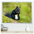 Eichhörnchen - die kleinen Nussknacker (hochwertiger Premium Wandkalender 2024 DIN A2 quer), Kunstdruck in Hochglanz - Alena Holtz