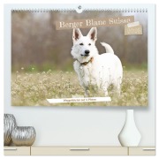 Berger Blanc Suisse - Weggefährten auf 4 Pfoten (hochwertiger Premium Wandkalender 2026 DIN A2 quer), Kunstdruck in Hochglanz - Andrea Potratz